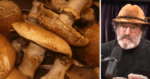 can you eat portobello mushrooms raw