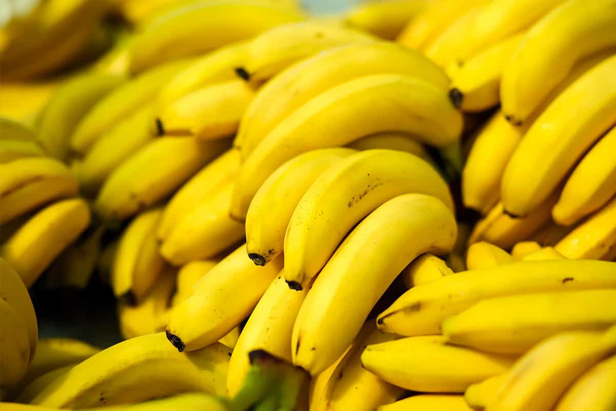 how-long-does-it-take-for-a-banana-to-digest-a-complete-guide-la